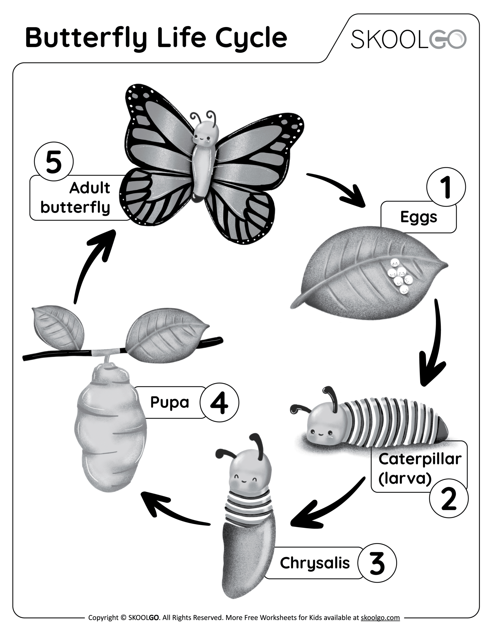 Butterfly Life Cycle - Free Worksheet - Skoolgo for Butterfly Life Cycle Worksheet Printable