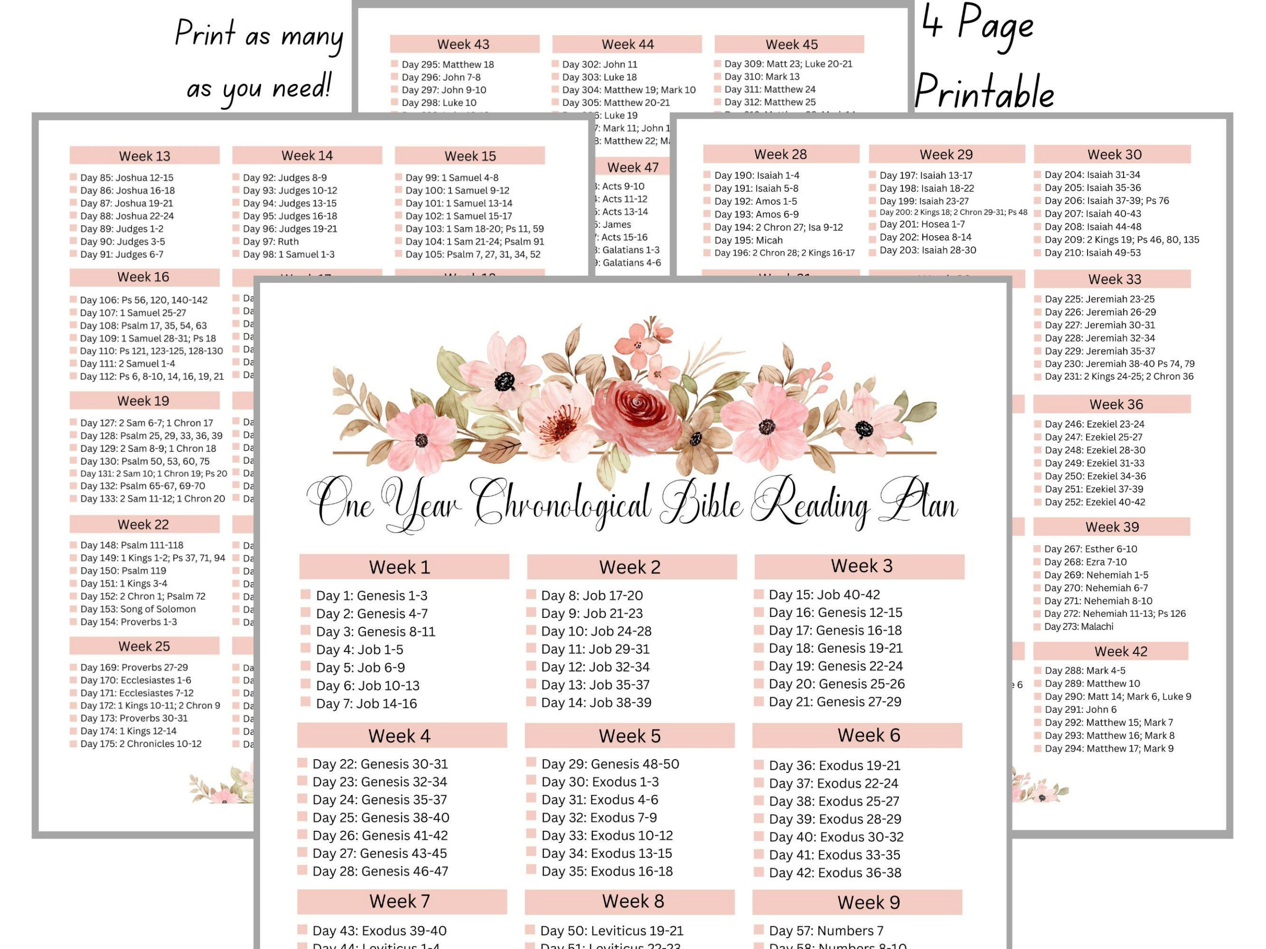 Chronological Bible Reading Plan Printable Bible Tracker One Year throughout Printable Bible Reading Plan