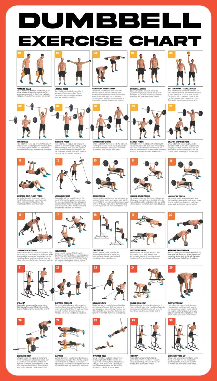 Dumbbell Workout Poster - 10 Free Pdf Printables | Printablee inside Beginner Free Printable Workout Routines