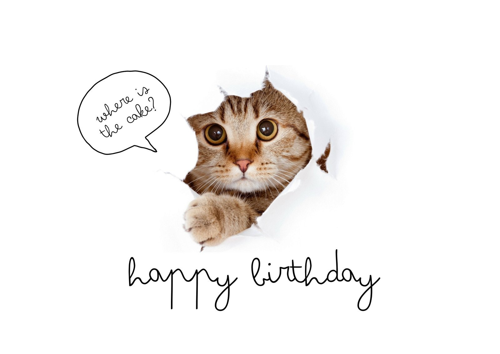 Free Printable Funny Birthday Card Templates | Canva within Funny Birthday Card Free Printable