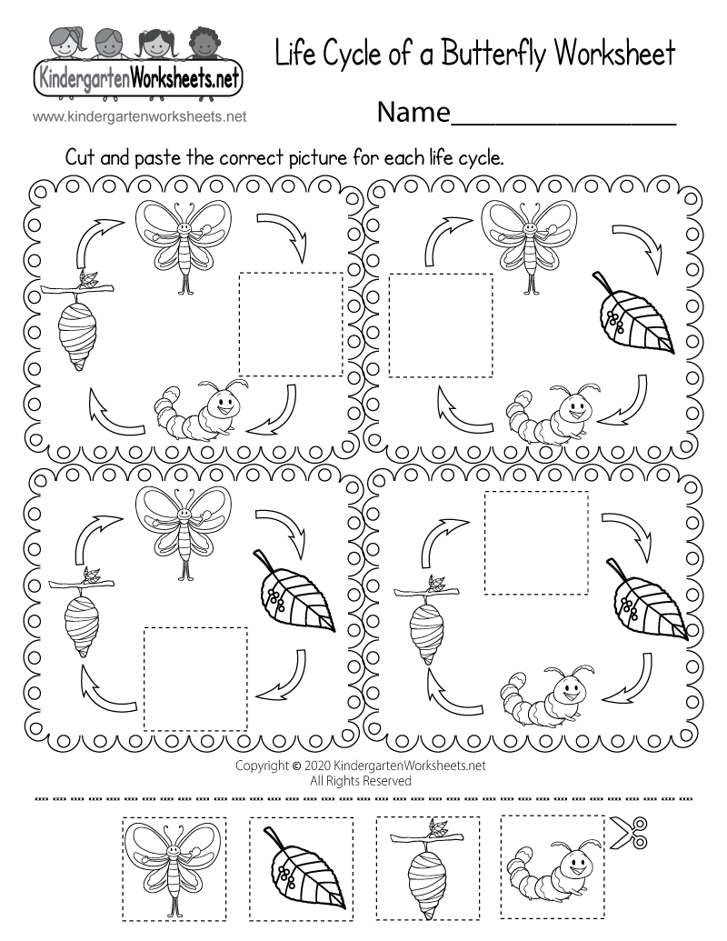 Free Printable Life Cycle Of A Butterfly Worksheet pertaining to Butterfly Life Cycle Worksheet Printable