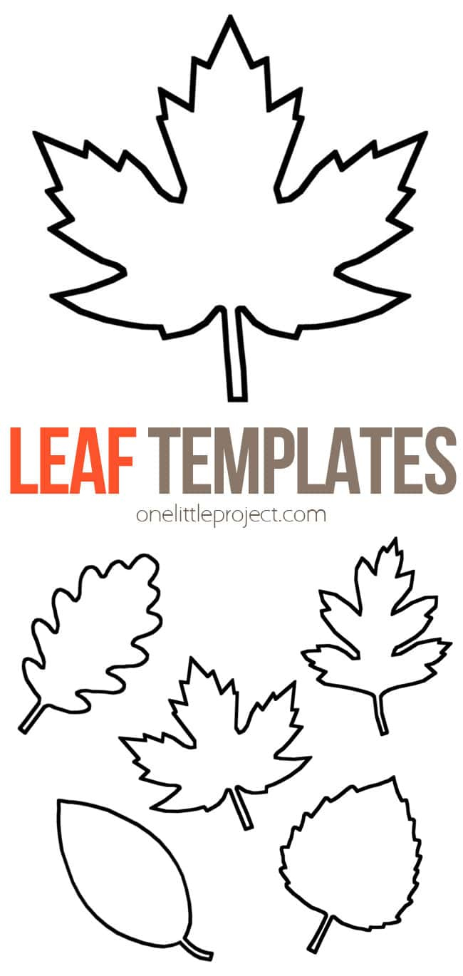 Leaf Template | Free Printable Leaf Outlines - One Little Project with Maple Leaf Template Printable Free