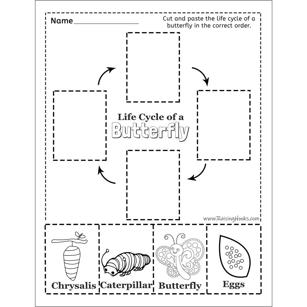 Life Cycle Of A Butterfly – Cut And Paste - Raising Hooks for Butterfly Life Cycle Worksheet Printable