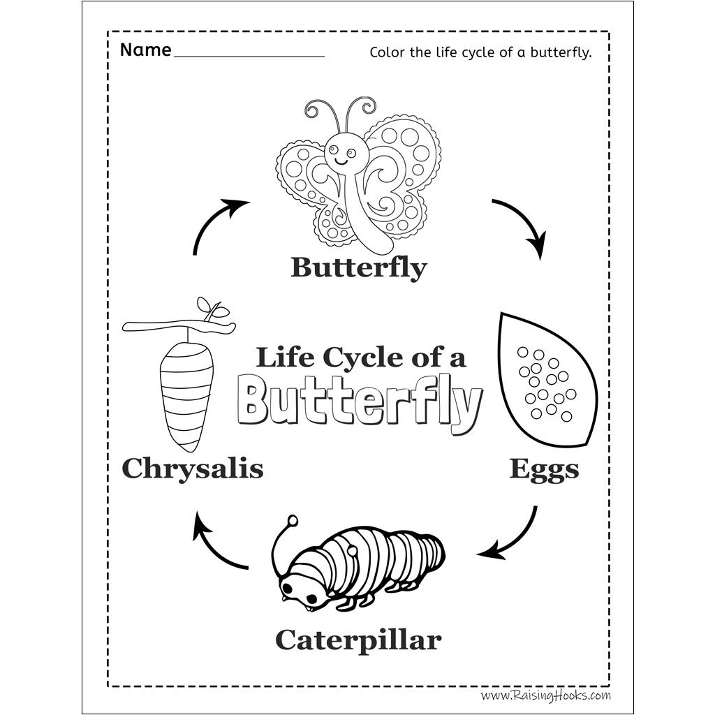 Life Cycle Of A Butterfly Worksheet - Raising Hooks intended for Butterfly Life Cycle Worksheet Printable