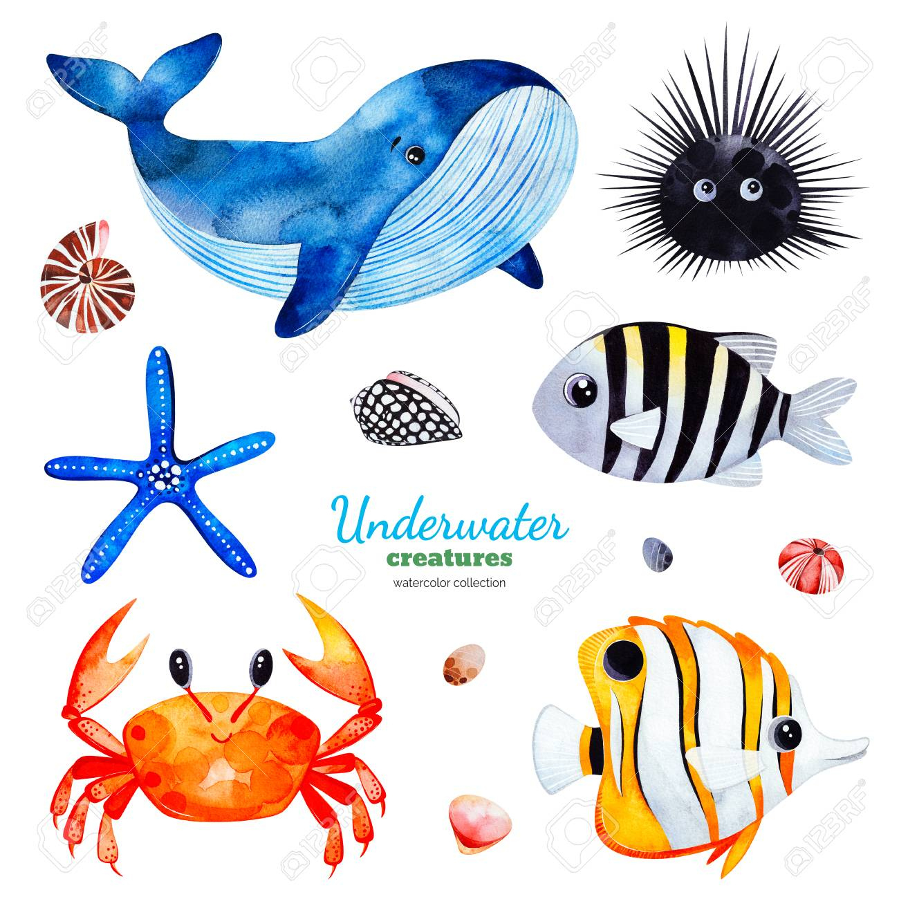 Underwater Creatures.watercolor Collection With Multicolored Coral inside Printable Pictures Of Water Animals