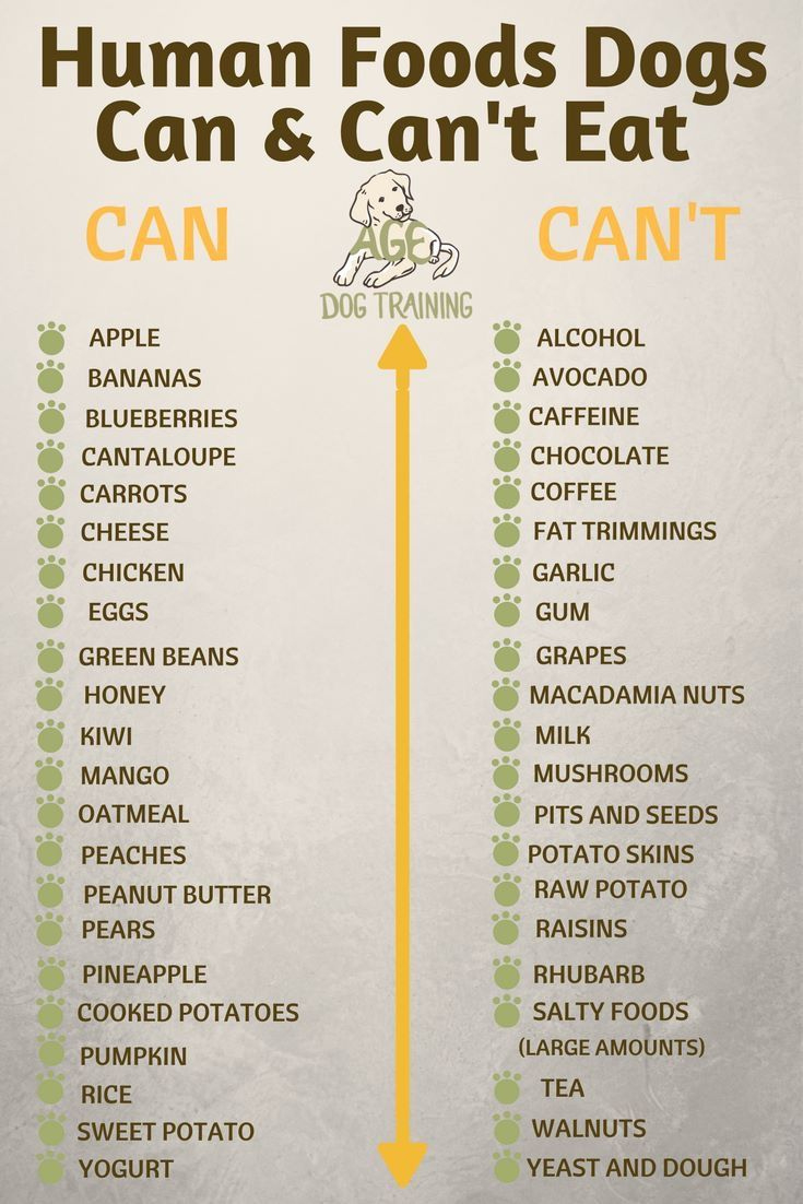 What Dogs Can And Can&#039;T Eat inside List of Foods Dogs Can&amp;#039;t Eat Printable